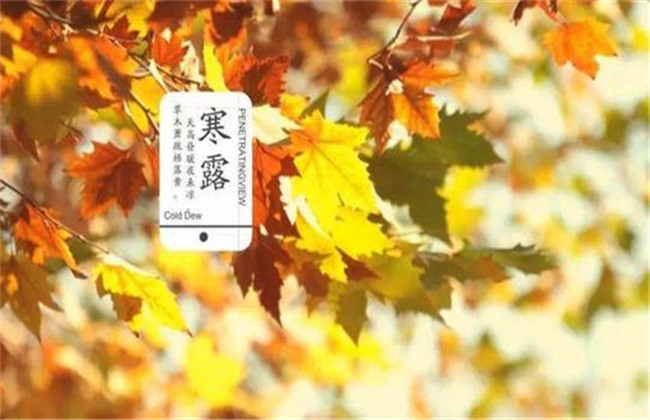 寒露與農業生產