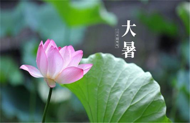 大暑的節日民俗