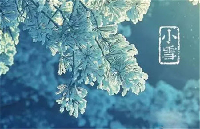 小雪節氣應該吃什么食品