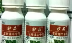 玉米矮化藥的成分 玉米矮化藥藥害的表現是什么