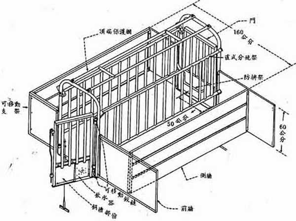 母豬養殖