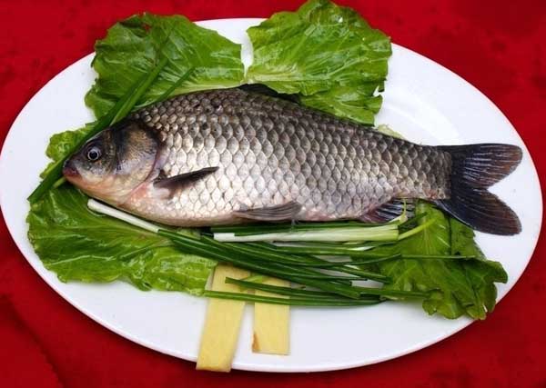 鯽魚的營養