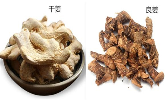 高良姜與干姜的區別