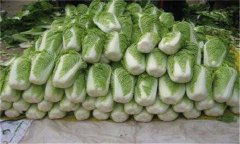 怎樣貯藏大白菜？