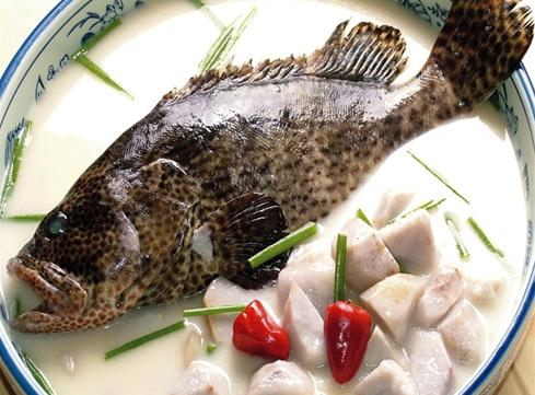 石斑魚的營養價值 吃石斑魚的好處