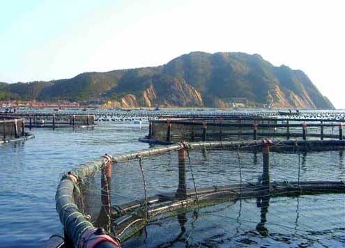 養魚技術