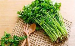 什么是食物的辛酸甘苦咸？各類食物的作用特點