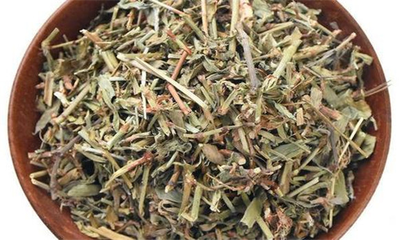 萹蓄的用法、用量與禁忌