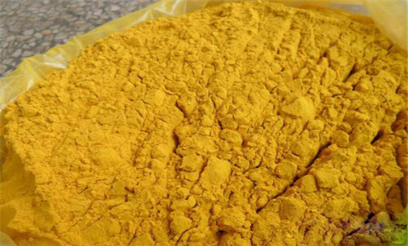 蒲黃的用法、用量與禁忌