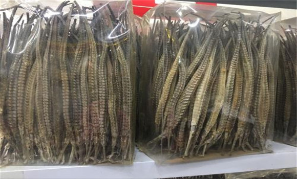 海龍的產地分布