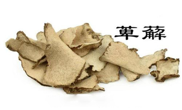 萆薢的用法，用量與禁忌