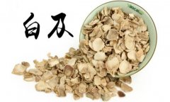 白及的產地是哪里？白及的用法、用量與禁忌