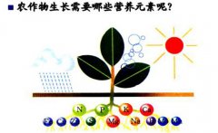 作物三大營養元素是什么 農作物必須的營養元素