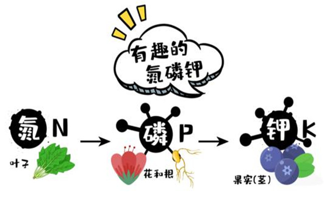 農作物三大營養元素是什么