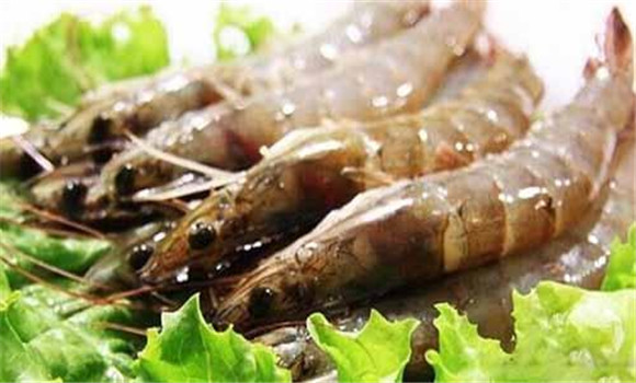 蝦的營養價值與功效
