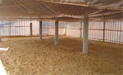 發酵床養殖模式應用失敗的幾種情況及原因分析