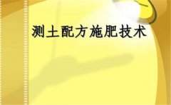 什么是測土配方施肥，測土配方施肥的基本要求