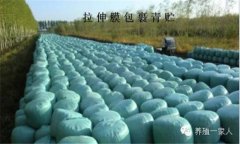 青貯飼料的調制方法、技術要點與注意事項