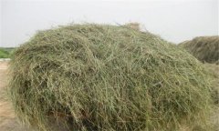 優質青干草應具備哪些條件，如何評定其質量
