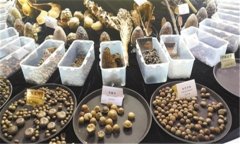 怎樣安全貯存蔬菜種子？蔬菜種子知識