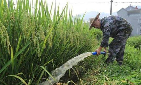 科學管水、防止早衰