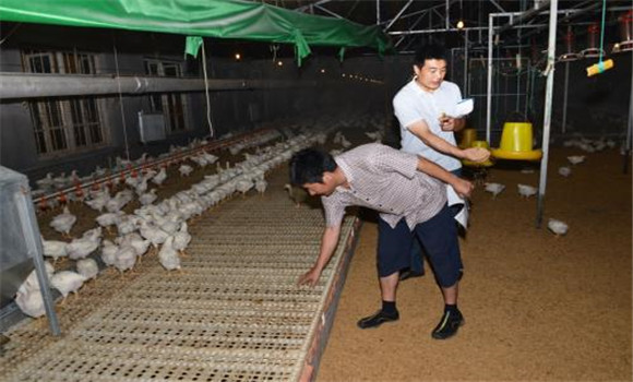 無污染、零排放
