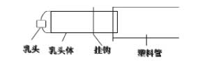 獺兔的養殖技術