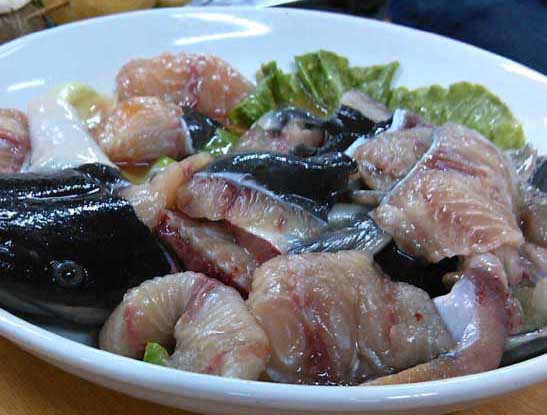 鯰魚養殖