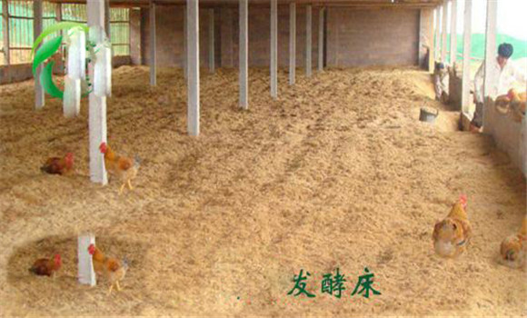 提升空氣質量，減輕呼吸道炎癥等疾病