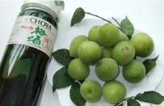 怎樣自制梅子酒？介紹梅子酒的做法
