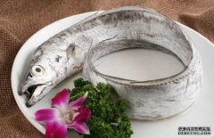 帶魚的產地、分布生活習性與品種分類