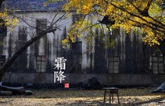 寒露是什么意思，寒露的氣候特征有哪些？