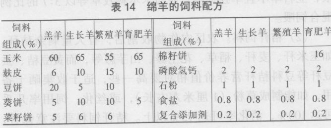 綿羊的飼養技術