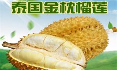 榴蓮品種介紹 常見的榴蓮品種有哪些？