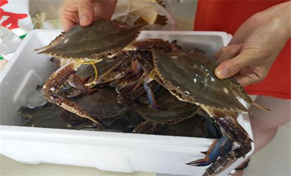 螃蟹屬于海鮮嗎？