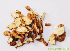 黃精的功效與作用 黃精營養功效與禁忌