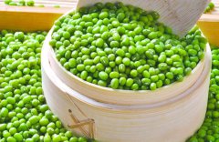 綠豆的功效與作用 綠豆的養生功效