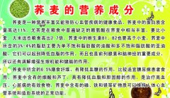 蕎麥的功效與作用 蕎麥營養功效