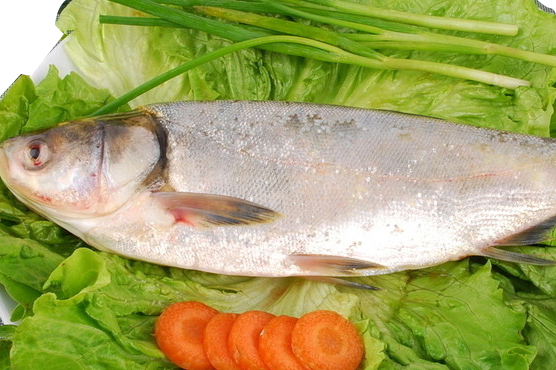 鰱魚的營養價值