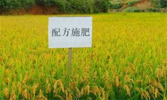 測土配方施肥的意義、作用