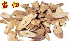 當歸的功效與作用及食用方法 當歸的養生功效