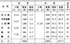 養殖戶為何喜歡養團頭魴