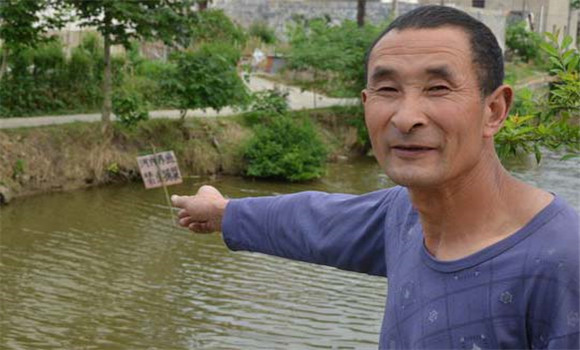 豬糞養魚