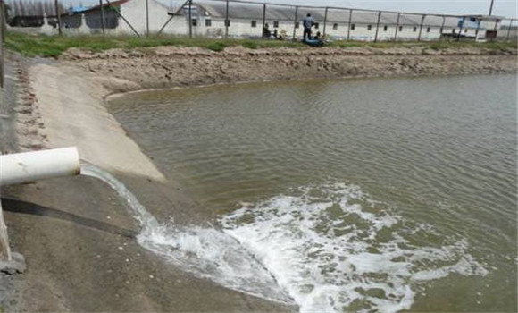 養魚水質不好怎么辦