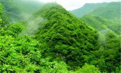生態公益林培育技術措施