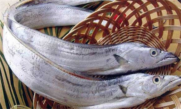 帶魚的營養成分