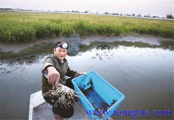 水源充足、水質清新無污染