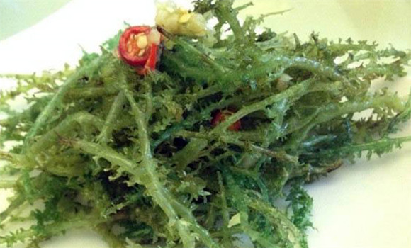 鹿角菜的功效是什么 鹿角菜的營養價值