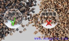 甜蕎麥和苦蕎麥的區別 甜蕎麥種植時間與方法