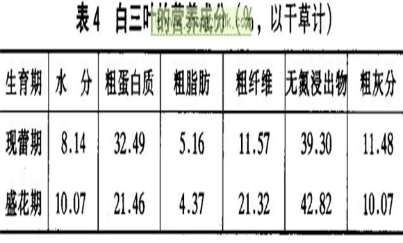白三葉經濟價值及利用